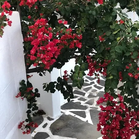 Pontoria Stegna * Archangelos (Rhodes)