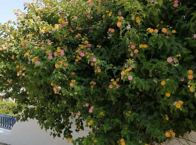 Lägenhet Pontoria Stegna Archangelos (Rhodes)