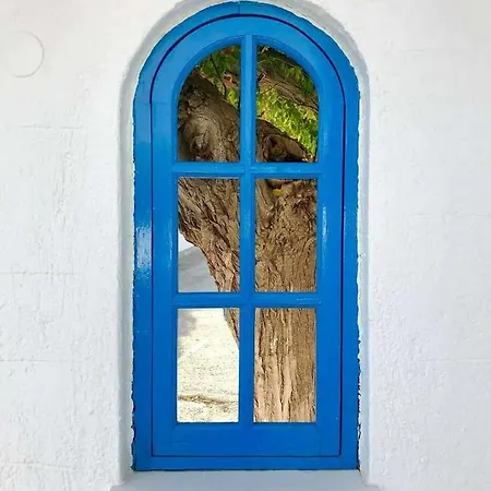Daire Pontoria Stegna Studios