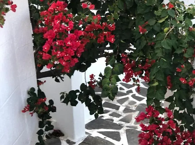 Pontoria Stegna Studios * Archangelos (Rhodes)