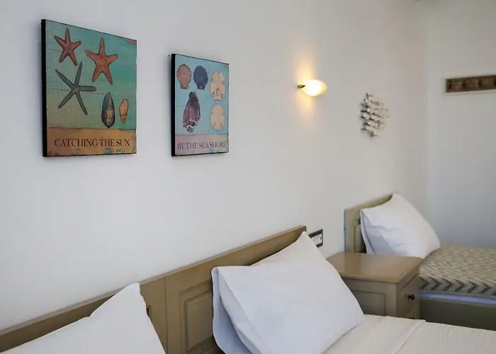 Daire Pontoria Stegna Studios