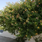شقة Pontoria Stegna أرخانجلوس