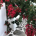 Pontoria Stegna * أرخانجلوس