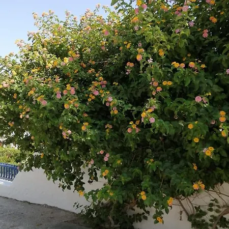 Apartamento Pontoria Stegna Archangelos (Rhodes)
