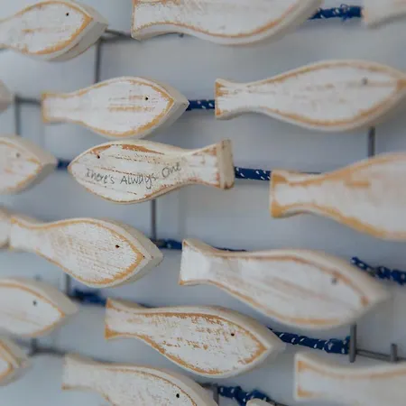 Apartment Pontoria Stegna Studios